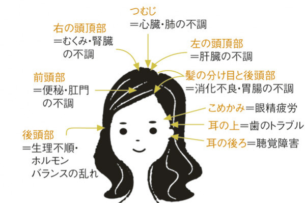 厳選! 「薄毛」と「白髪」の予防法と治療法:「白髪」対策④/STOP“老け白髪”のための生活改善