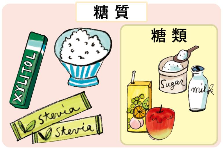 糖質と糖類、どう違う? どっちが太る?/内臓脂肪を落とすルール<4>