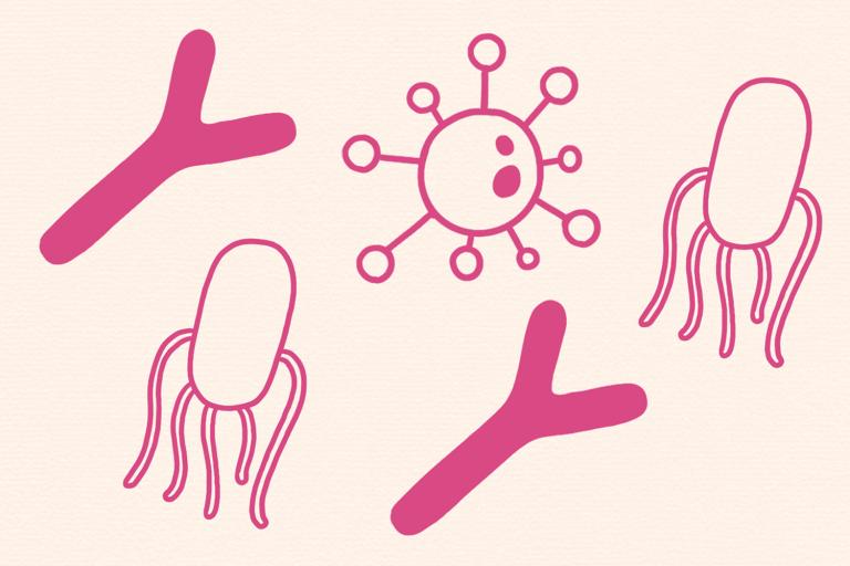 うつの人は腸内細菌バランスが乱れ、認知症の人の腸内細菌叢には種類不明の菌が増えている!?/腸内細菌の真実